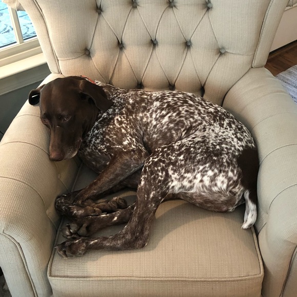 Welcome to my closet!!! - Picture 5 of 8